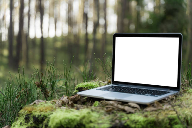 Laptop outside concept. Empty copy space, blank screen mockup. Soft focus laptop in nature background. Ecology travel and work outside office concept stock photo