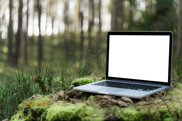 laptop fora do conceito. espaço de cópia vazio, maquete em branco na tela. laptop de foco macio em fundo da natureza. ecologia viaja e trabalha fora do conceito de escritório - laptop computer grass nature - fotografias e filmes do acervo