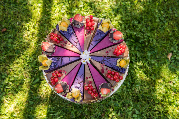 z bliska wegańskiego surowego kolorowego ciasta z owocami - drink umbrella umbrella pink paper zdjęcia i obrazy z banku zdjęć