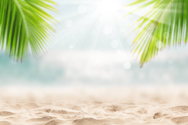 istock Landscape of tropical summer. Summer vacation concept. 1218416687
