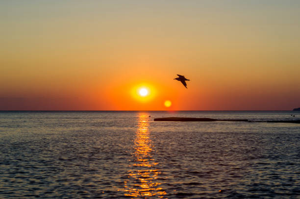 istock Amazing sea sunset on the pebble beach, the sun, waves, clouds 1218416754