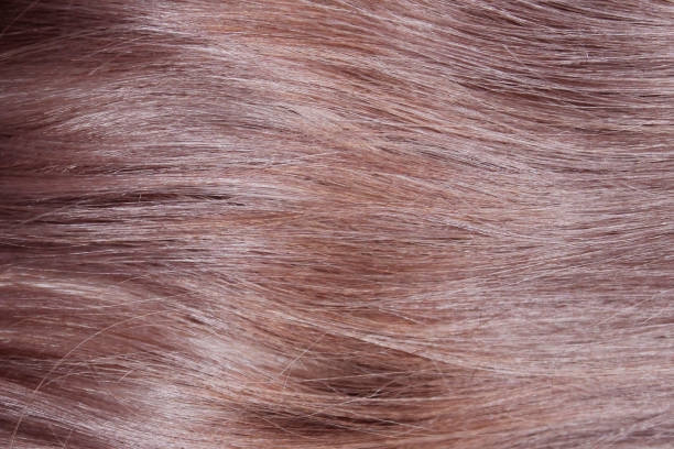 istock brown hair closeup 1218417454