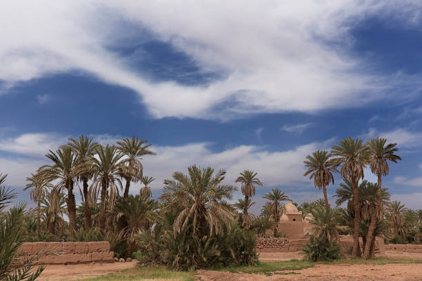 istock Adobe buildings in M'Hamid El Ghizlane. 1218419452