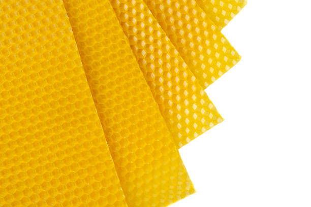 Beeswax. Wax base for honey bee rebuilding. Honeycomb. Beekeeping concept
