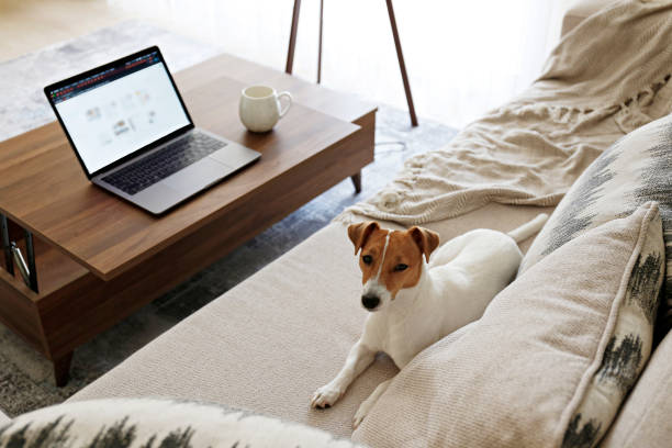 istock Conceptual image with improvised home office for working from home. 1218422941