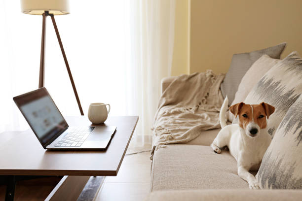 istock Conceptual image with improvised home office for working from home. 1218423926