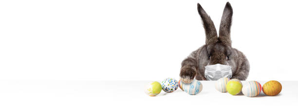 istock Easter rabbit with medical mask at epidemic time 1218424156