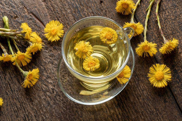 istock Coltsfoot tea with fresh blooming coltsfoot 1218425674