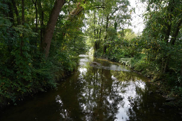 istock A stream in the Bavarian Forest in spring 1218426792