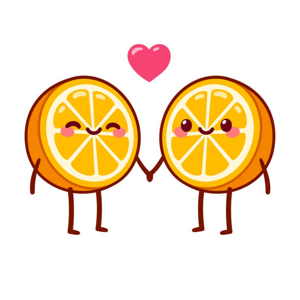 ilustrações, clipart, desenhos animados e ícones de bonito desenho animado laranja metades casal - isolated on white fun orange food
