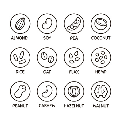 Plant based milk alternative icon set. Nut and seed milk, beans and grains. Labels for non-dairy beverages, vector symbols.