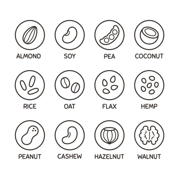 Plant based milk icon set Plant based milk alternative icon set. Nut and seed milk, beans and grains. Labels for non-dairy beverages, vector symbols. bean stock illustrations