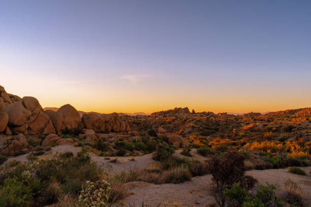 istock Joshua Tree National Park 1218429254
