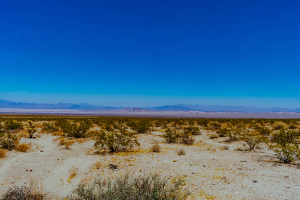 istock Mojave Desert National Preserve 1218430016
