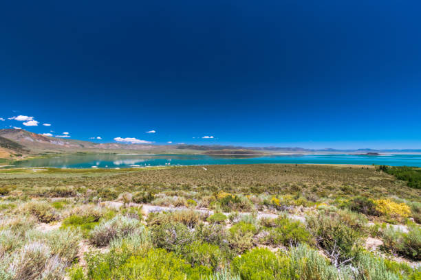 istock Mono Lake, California 1218431116