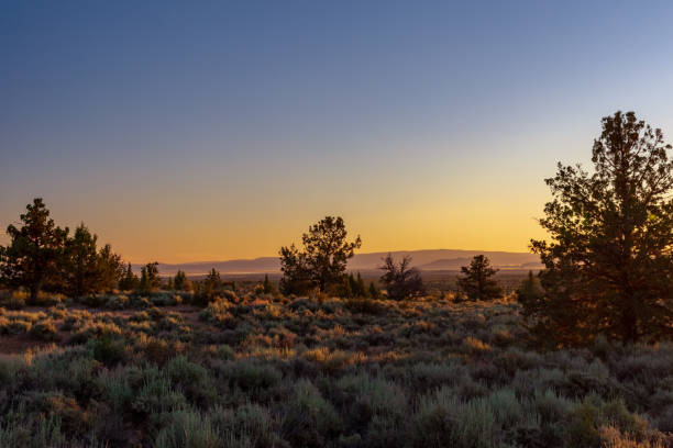 lava beds national monument - lava beds national monument foto e immagini stock