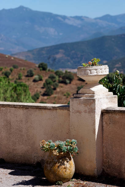 istock Terrace in Moltifao village 1218435507