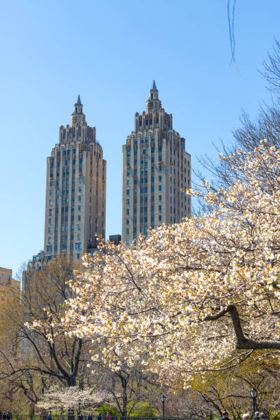 istock Early spring in Central Park, Manhattan, New York City 1218436200