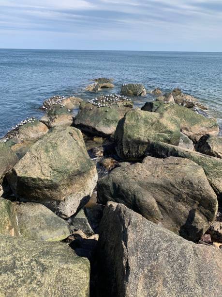 istock Plumb Is. jetty Newbury MA 1218436449