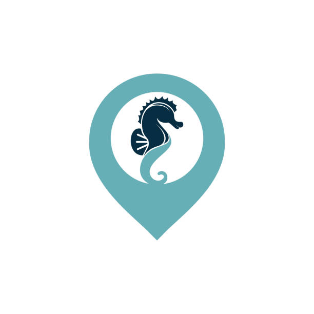 sea horse pin wektorowy projekt logo. - mammal hippocampus stock illustrations