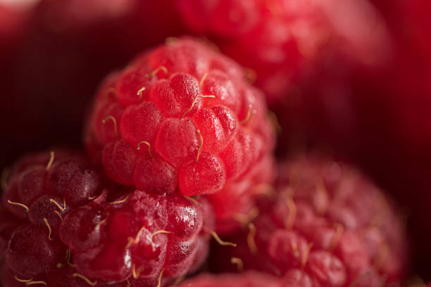 fresh organic ripe raspberries on a small white porcelain plate