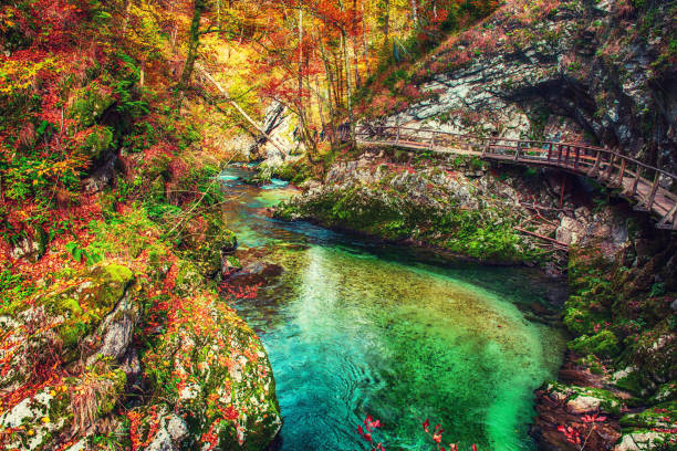 istock Vintgar gorge, Slovenia 1218440093