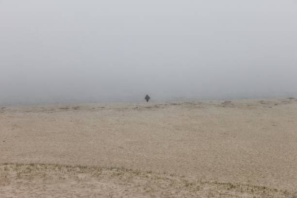 A foggy day in Cape Cod
