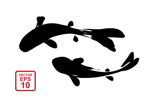 Two fish drawn in the style of Chinese or Japanese painting with strokes of black paint. Vector illustration.