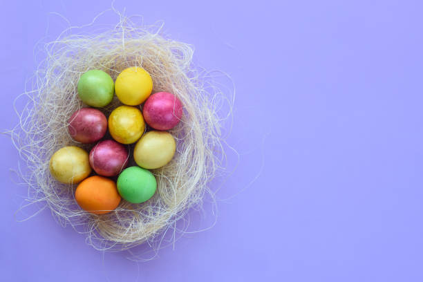 istock Easter eggs in a makeshift nest on a purple background 1218446455