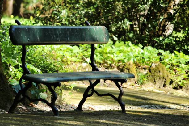 istock Bench in a Leafy and green garden in Lisbon 1218448824