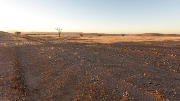 istock A beautiful desertic landscape in Namibia 1218448856