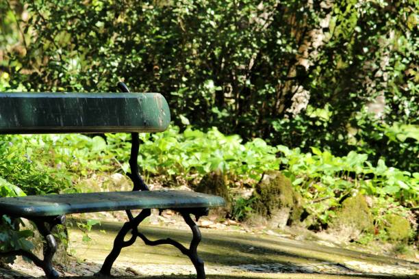 istock Bench in a Leafy and green garden in Lisbon 1218448966