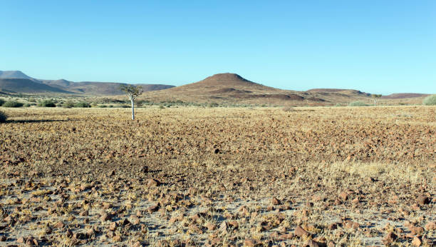The Namib Sperrgebiet rand park is a protected wilderness area in the Aus Mountains between the Town of Aus and the Namib desert. This area includes the Pro-Namib and part of the Karoo