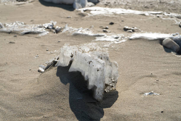 istock Natural background with ice floes on the sand 1218449101