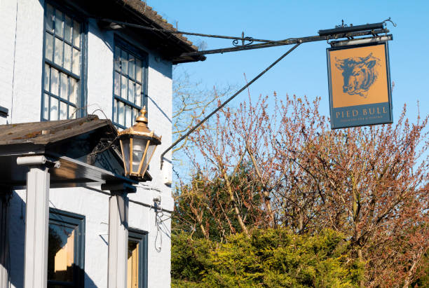 A traditional English stone pub nestled in the serene countryside of West Lulworth, near the scenic Studland Bay along the Jurassic Coast in Dorset. This inviting establishment features a weathered stone façade, gabled rooftops with tall brick chimneys, and round-paned windows that reflect the rustic charm of the area. Outdoor wooden benches and potted plants line the narrow village road, while a beige canopy provides shaded seating for visitors. The early evening golden light enhances the cozy and timeless feel of the setting. This pub serves as a welcoming stop for travelers exploring nearby attractions like Durdle Door and Studland Bay, offering both heritage and hospitality in one frame.