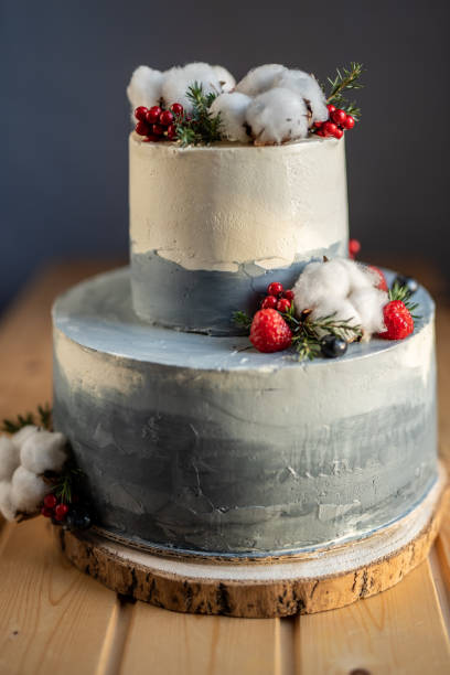 istock two tier gray shade wedding winter christmas birthday cake 1218454029