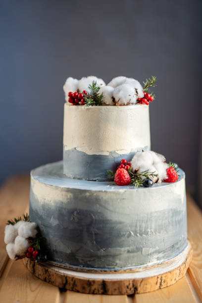 istock two tier gray shade wedding winter christmas birthday cake 1218454146