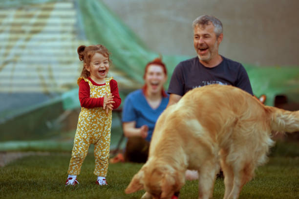 quelle famille joyeuse ! - dog baby t shirt child photos et images de collection