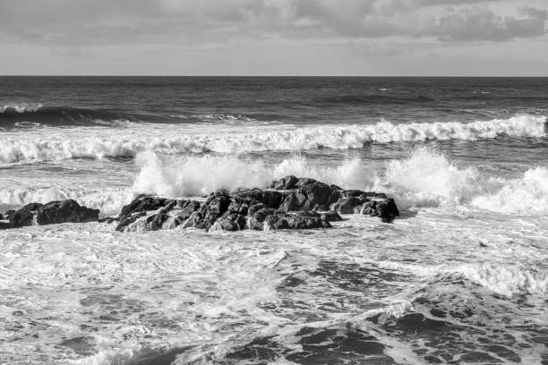 Large ocean waves crashing on rocky California pacific rocks, with clouds in the background.Taken at Pescadero State Beach, California, USA