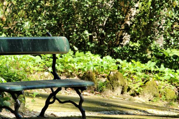 istock Bench in a Leafy and green garden in Lisbon 1218457814