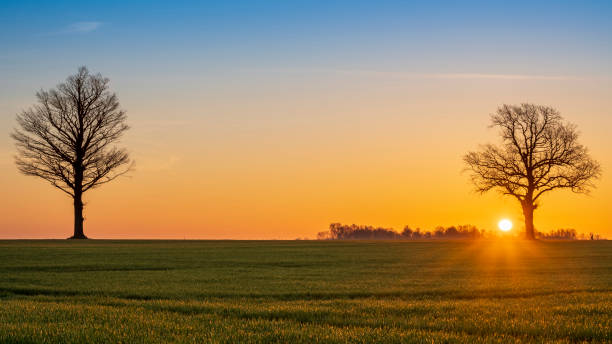 istock Warm sunrise over open agriculture field 1218457857