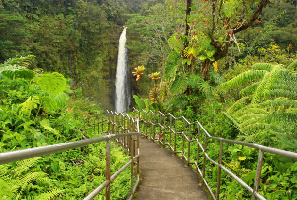 Scenic landscape with boardwalk and stairs to waterfall inside the rainforest. Akaka Falls State Park, Hawaii Big Island, USA.