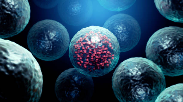 Infected cell by a virus, viral replication Infected cell by a virus, viral replication t cell photos stock pictures, royalty-free photos & images