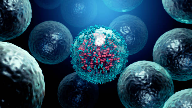 istock Antibodies destroy an infected cell by a  virus, immun defense kill the infected cell 1218459771