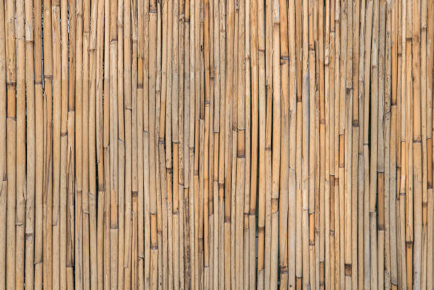 istock Old brown bamboo background. Wall of bamboo. Rural rustic background 1218462538