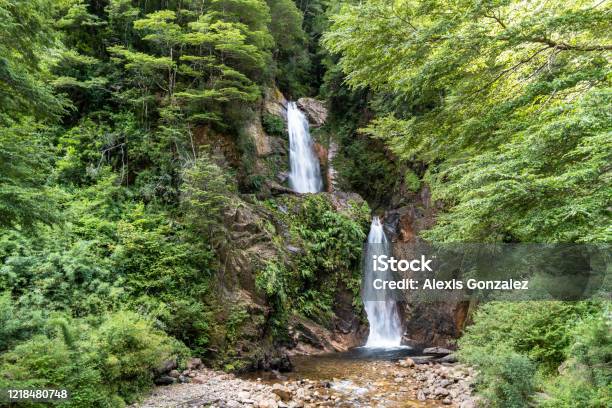 La Virgen Waterfall Near To Coyhaique In The Chilean Patagonia Stock Photo - Download Image Now
