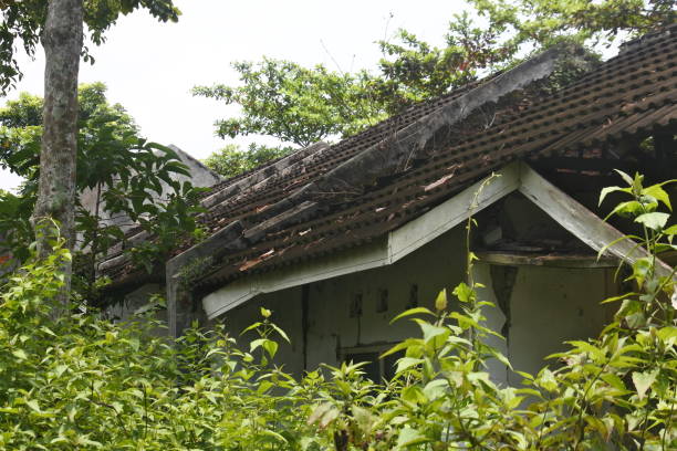 istock An empty house with a bush suitable as a horror situation or an urban legend story 1218485985
