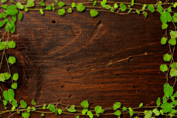istock Frame of Ivy on plank 1218490688