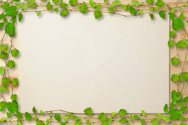 istock Frame of Ivy on plank with blank paper 1218490692