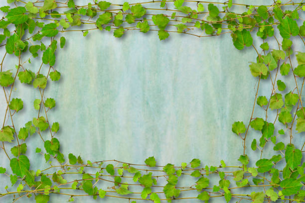 istock Frame of Ivy on Washi paper 1218490706